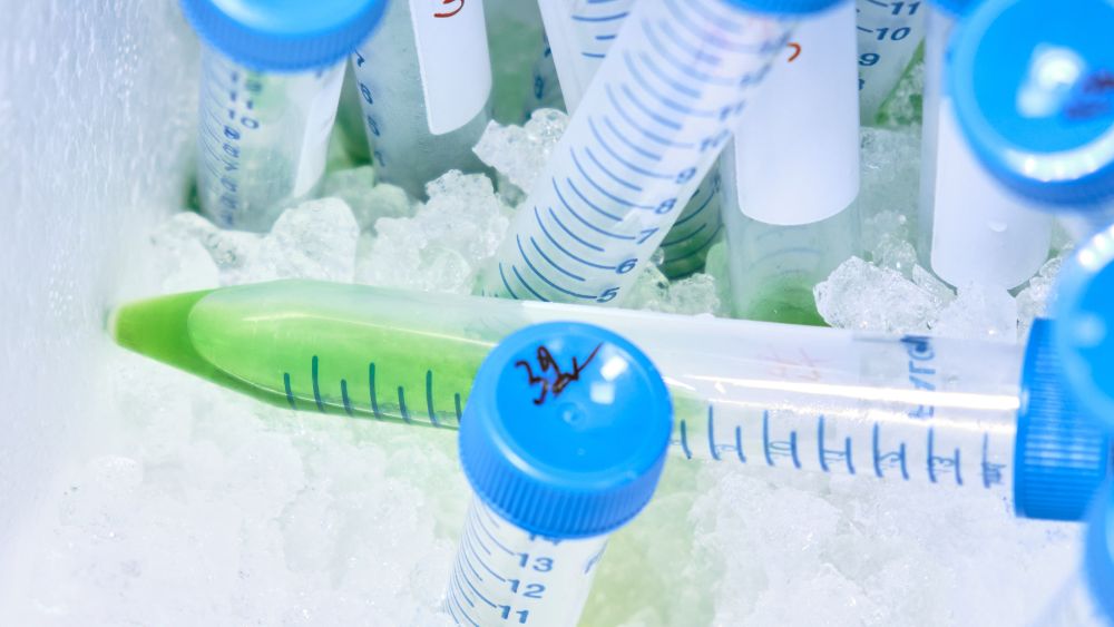 IVF embryo storage